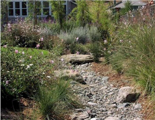 Dry Creek Bed