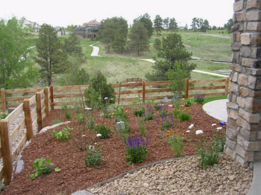 Perennial Bed