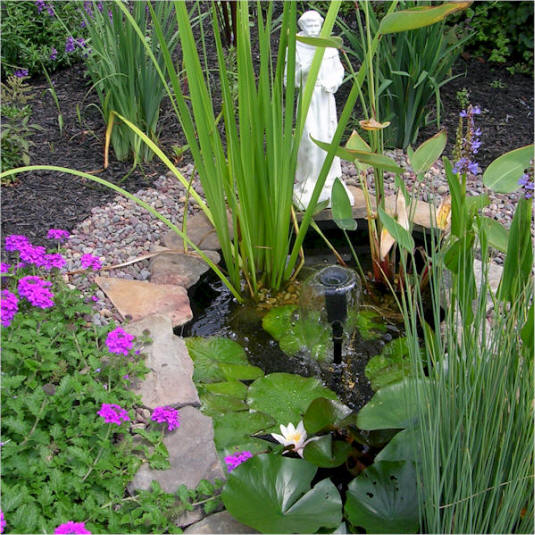 Pond with St. Francis