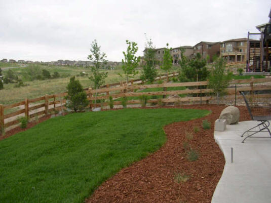 New sod and mulch