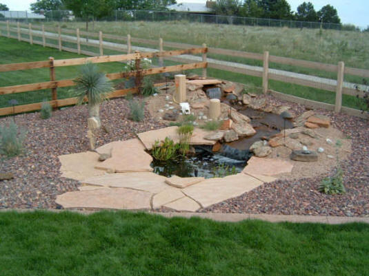Water feature with pond